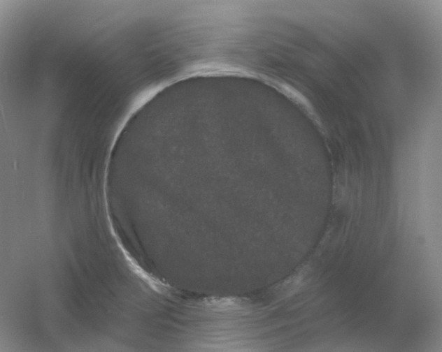 X0000054461231200508121929