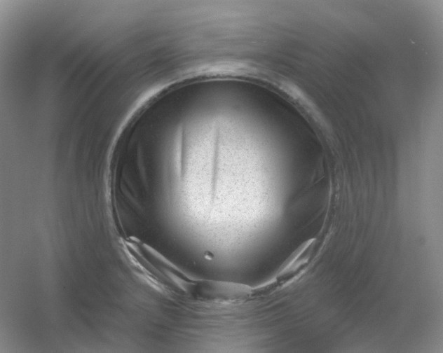 X0000054461232200508121929