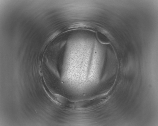 X0000054461233200508121929