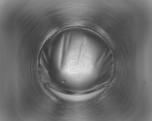 X0000054461234200508121929