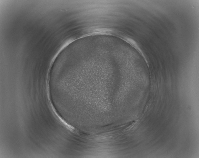 X0000054461235200508121929