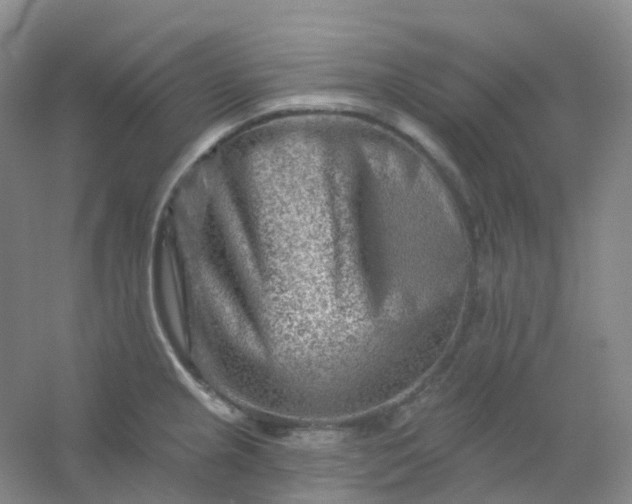 X0000054461237200508121929