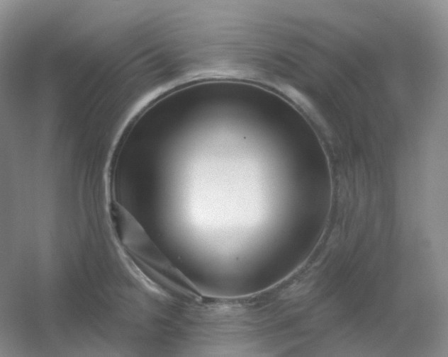 X0000054461238200508121929