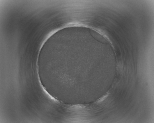 X0000054461239200508121929