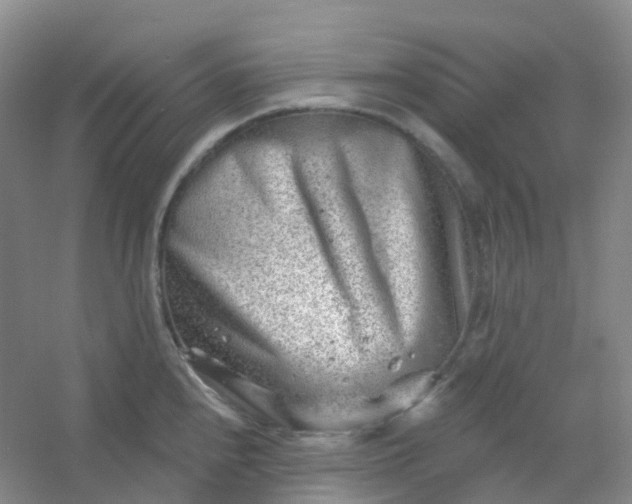 X0000054461240200508121929