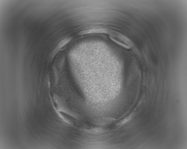 X0000054461241200508121929