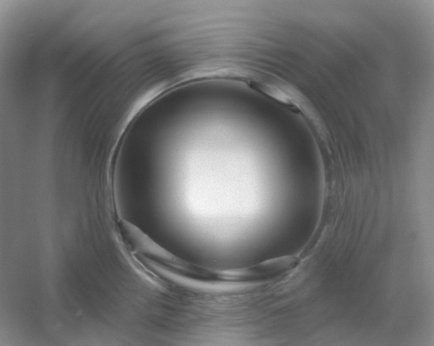 X0000054461242200508121929