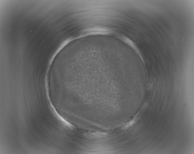 X0000054461243200508121929