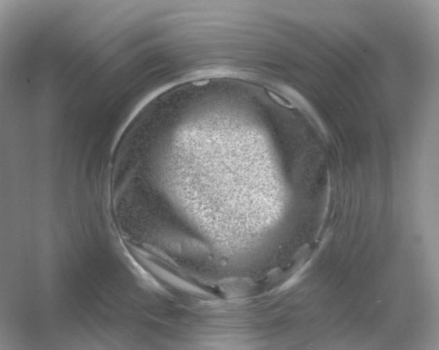 X0000054461244200508121929