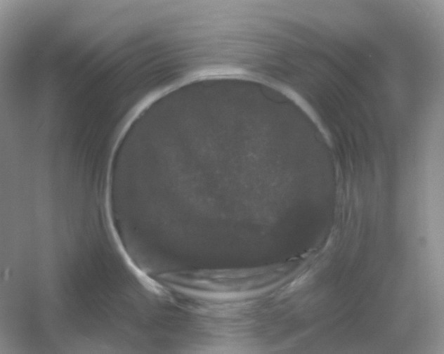 X0000054461245200508121929