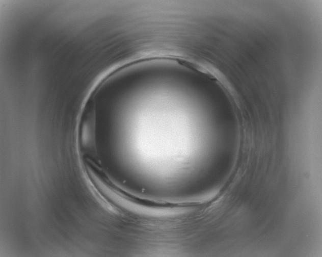 X0000054461246200508121929