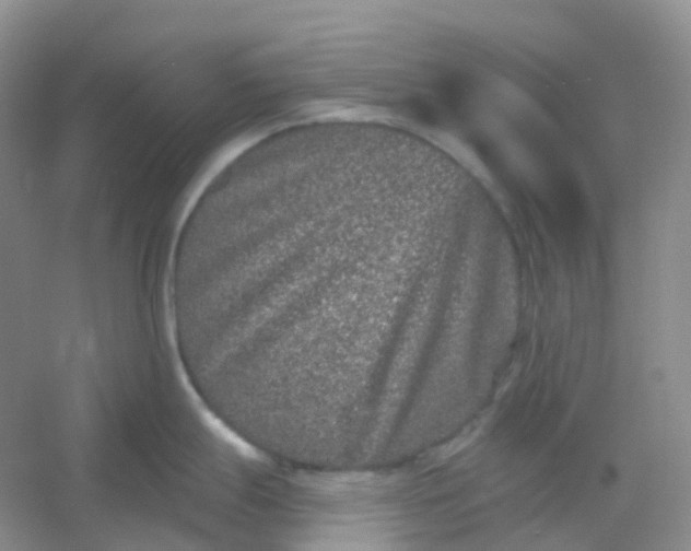 X0000054461247200508121929