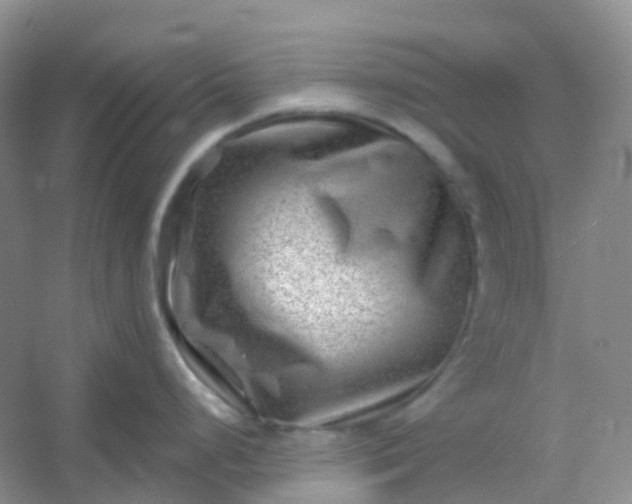 X0000054461248200508121929