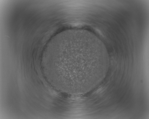 X0000054461249200508121928