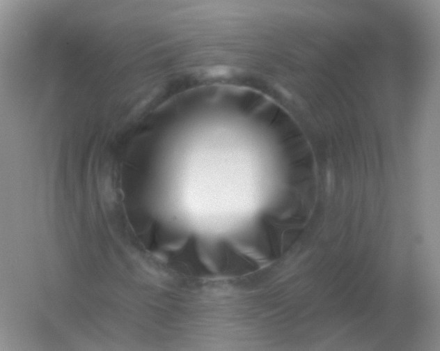 X0000054461250200508121928