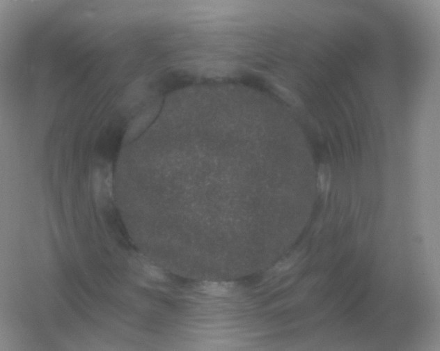 X0000054461251200508121928