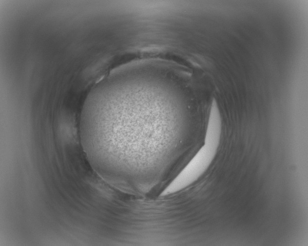 X0000054461252200508121928