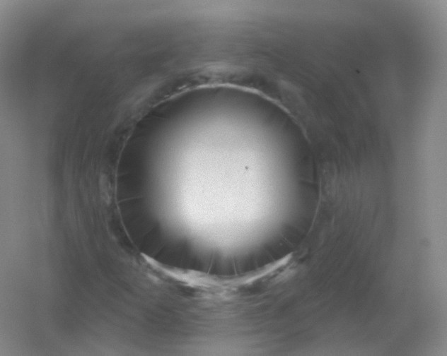 X0000054461253200508121928