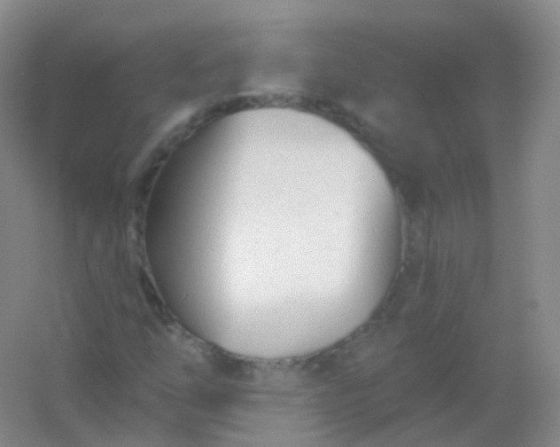 X0000054461254200508121928