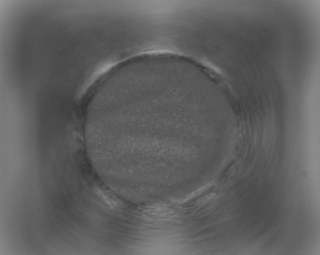 X0000054461255200508121928