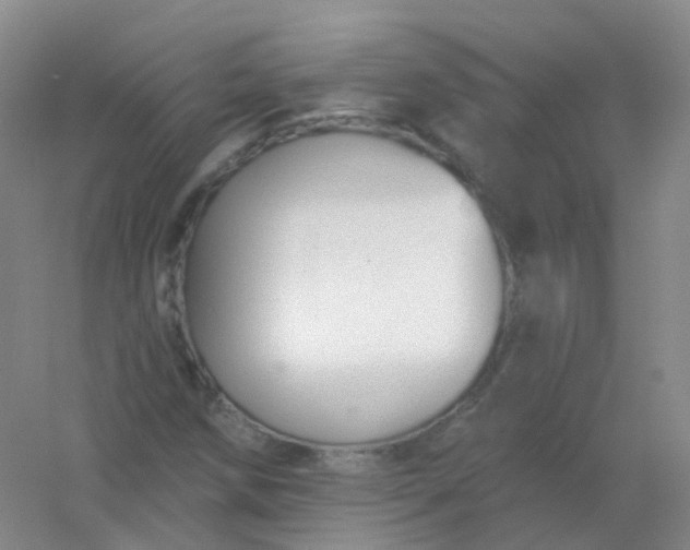 X0000054461258200508121928