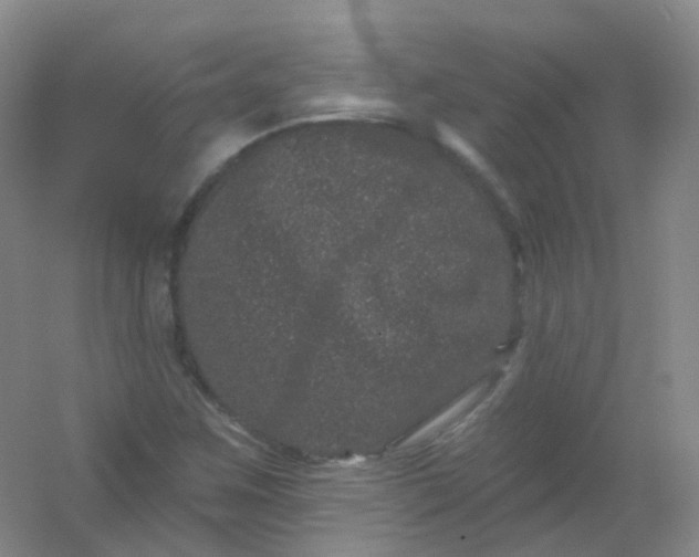 X0000054461259200508121928