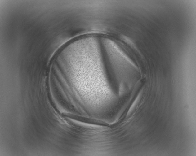 X0000054461260200508121928