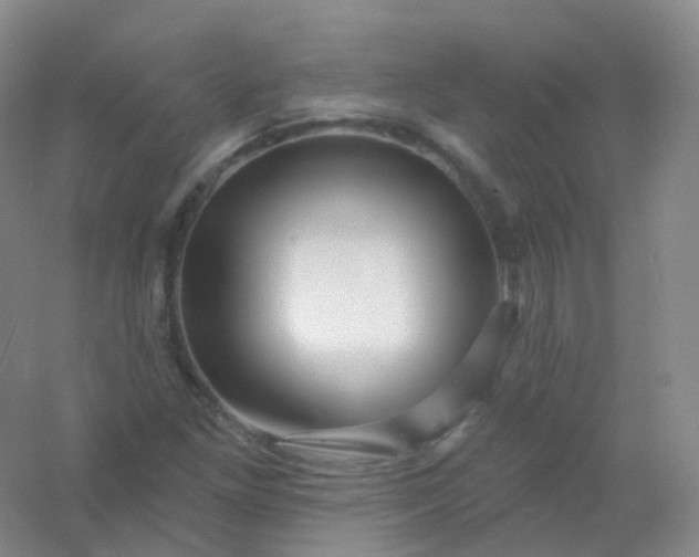 X0000054461261200508121928