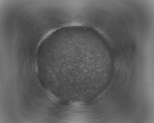 X0000054461262200508121928