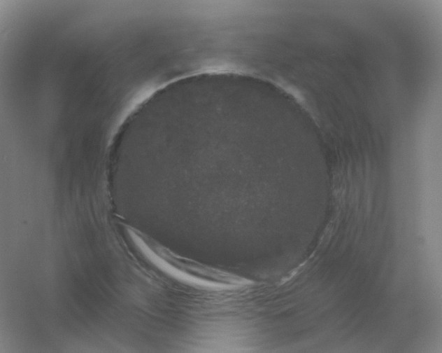 X0000054461263200508121928