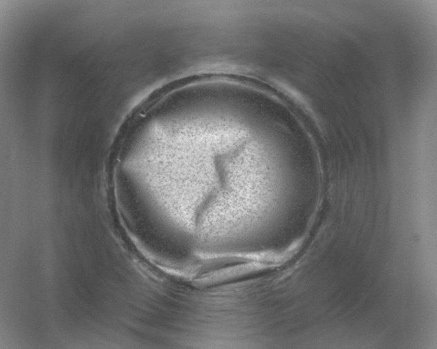 X0000054461264200508121928