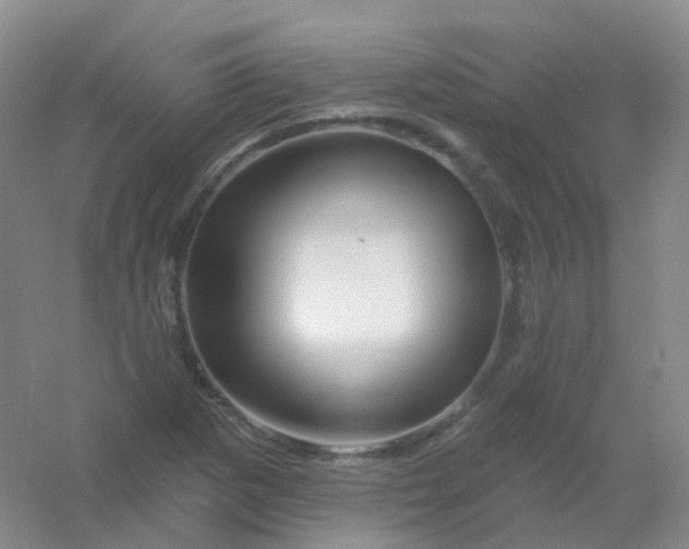 X0000054461265200508121928