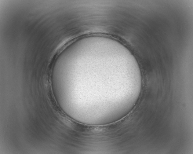 X0000054461266200508121928