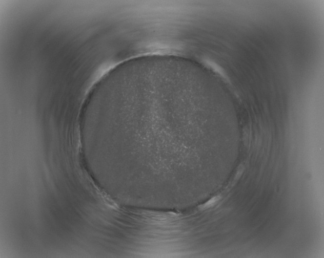 X0000054461267200508121928