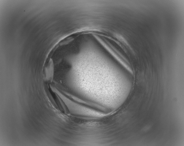 X0000054461268200508121928