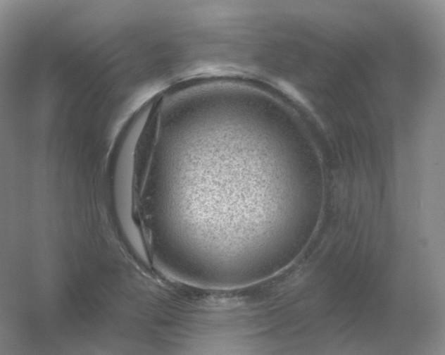 X0000054461269200508121928