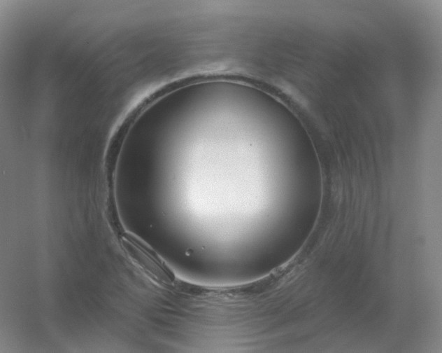 X0000054461270200508121928