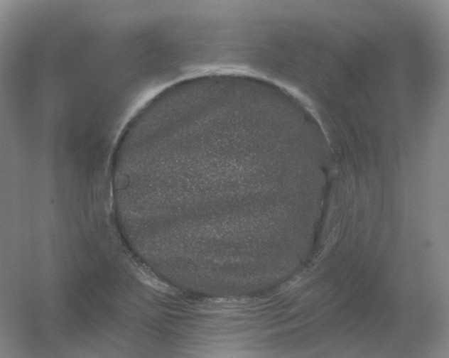 X0000054461271200508121928