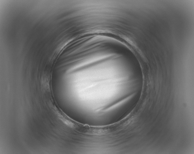 X0000054461273200508121928