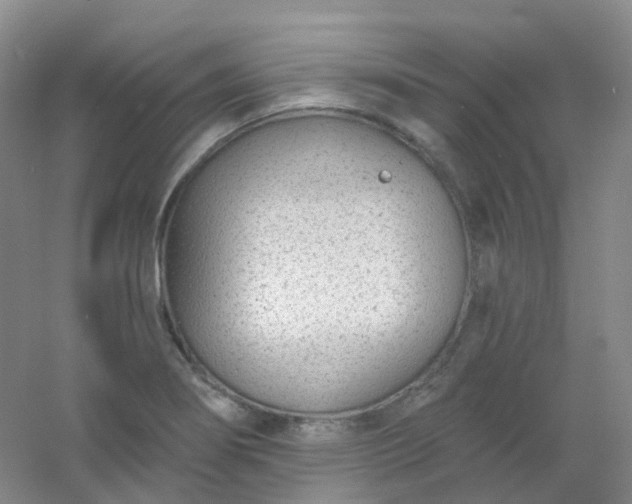 X0000054461274200508121928