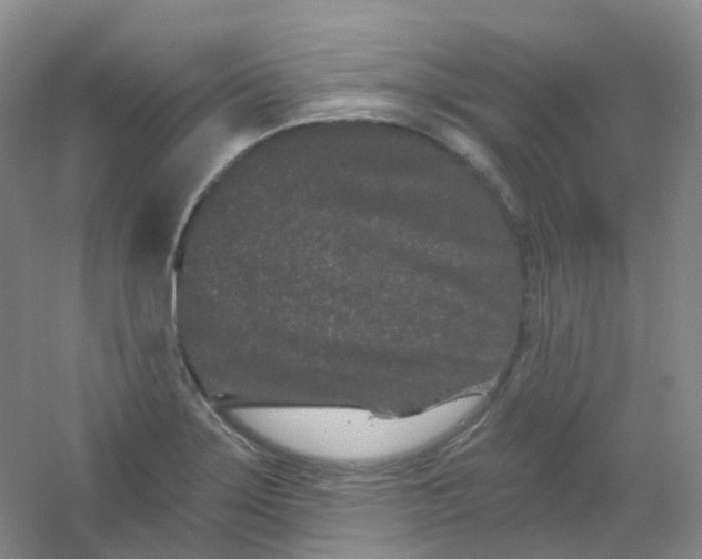 X0000054461275200508121928