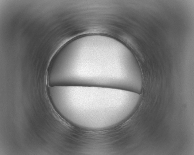 X0000054461276200508121928