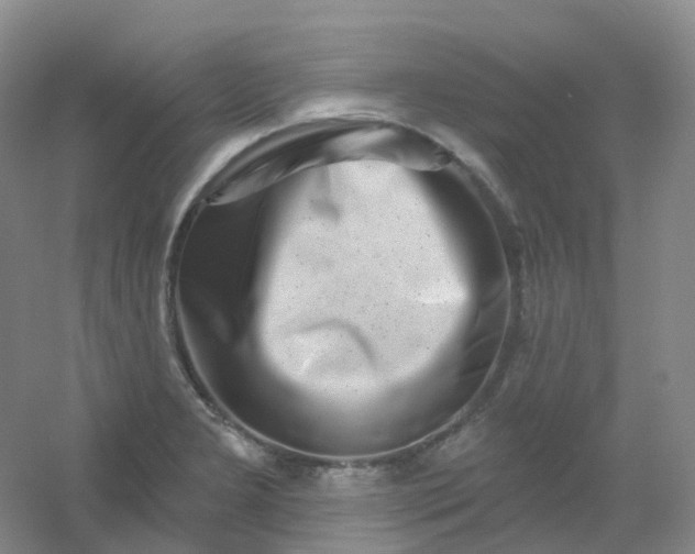 X0000054461277200508121928