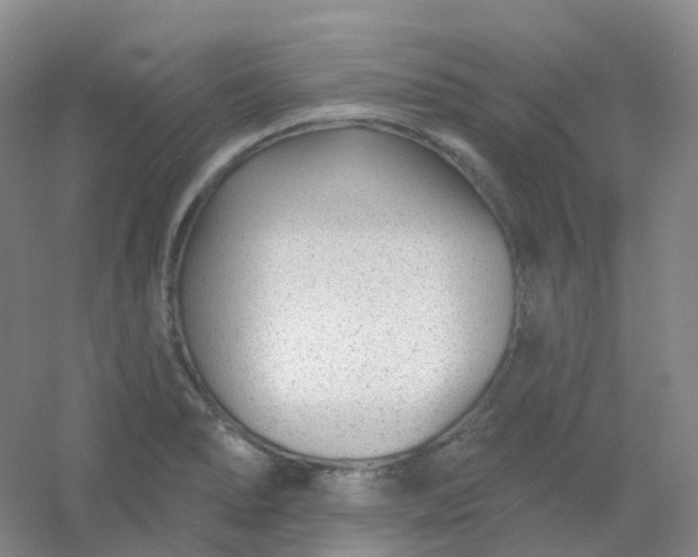 X0000054461278200508121927