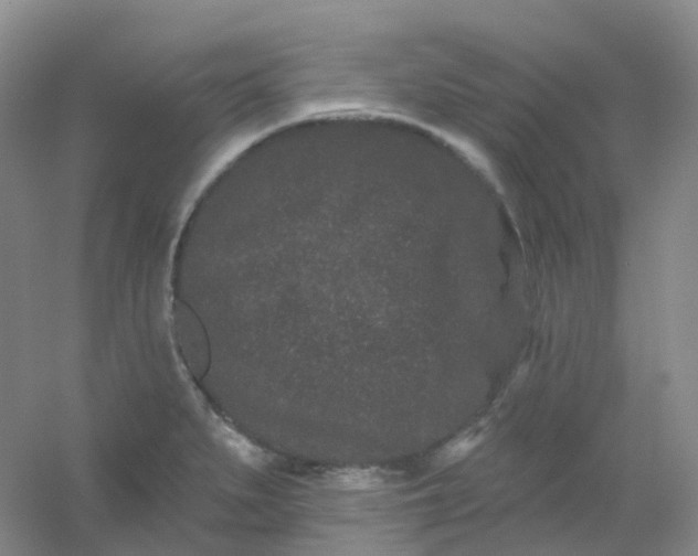 X0000054461279200508121927