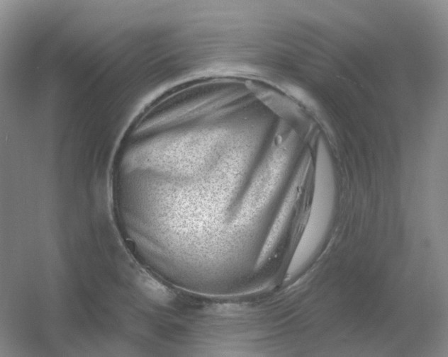 X0000054461280200508121927