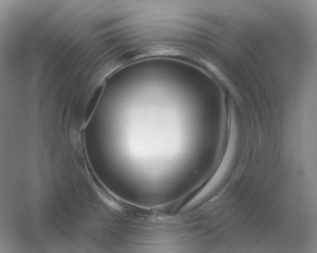 X0000054461281200508121927