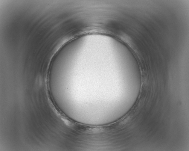 X0000054461282200508121927