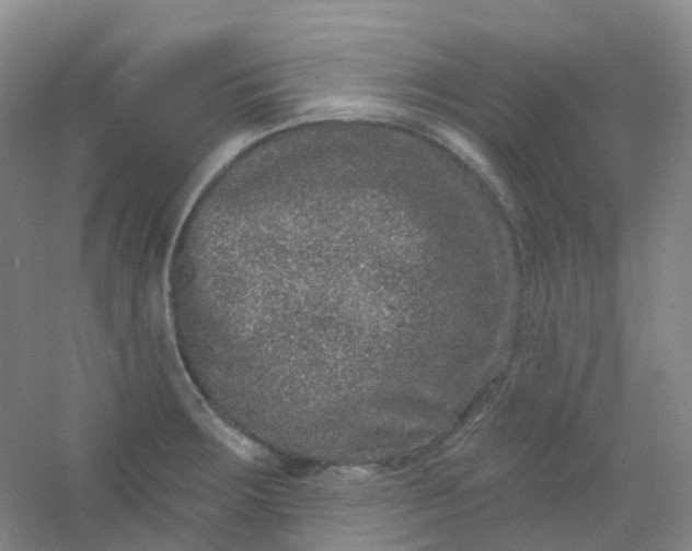 X0000054461283200508121927