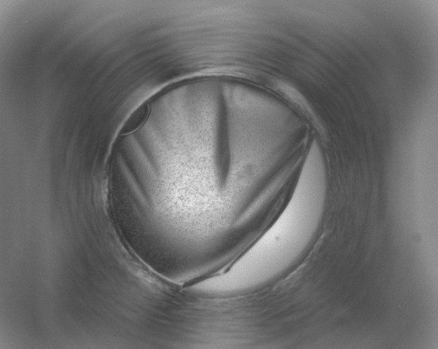 X0000054461284200508121927